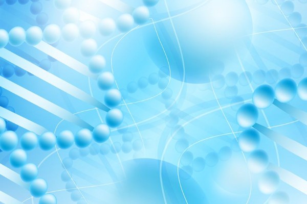 La Regione Abruzzo finanzia la SIS per lo studio dei polimorfismi genetici