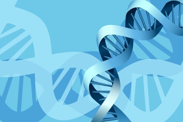 Il progetto e-Health Genoma